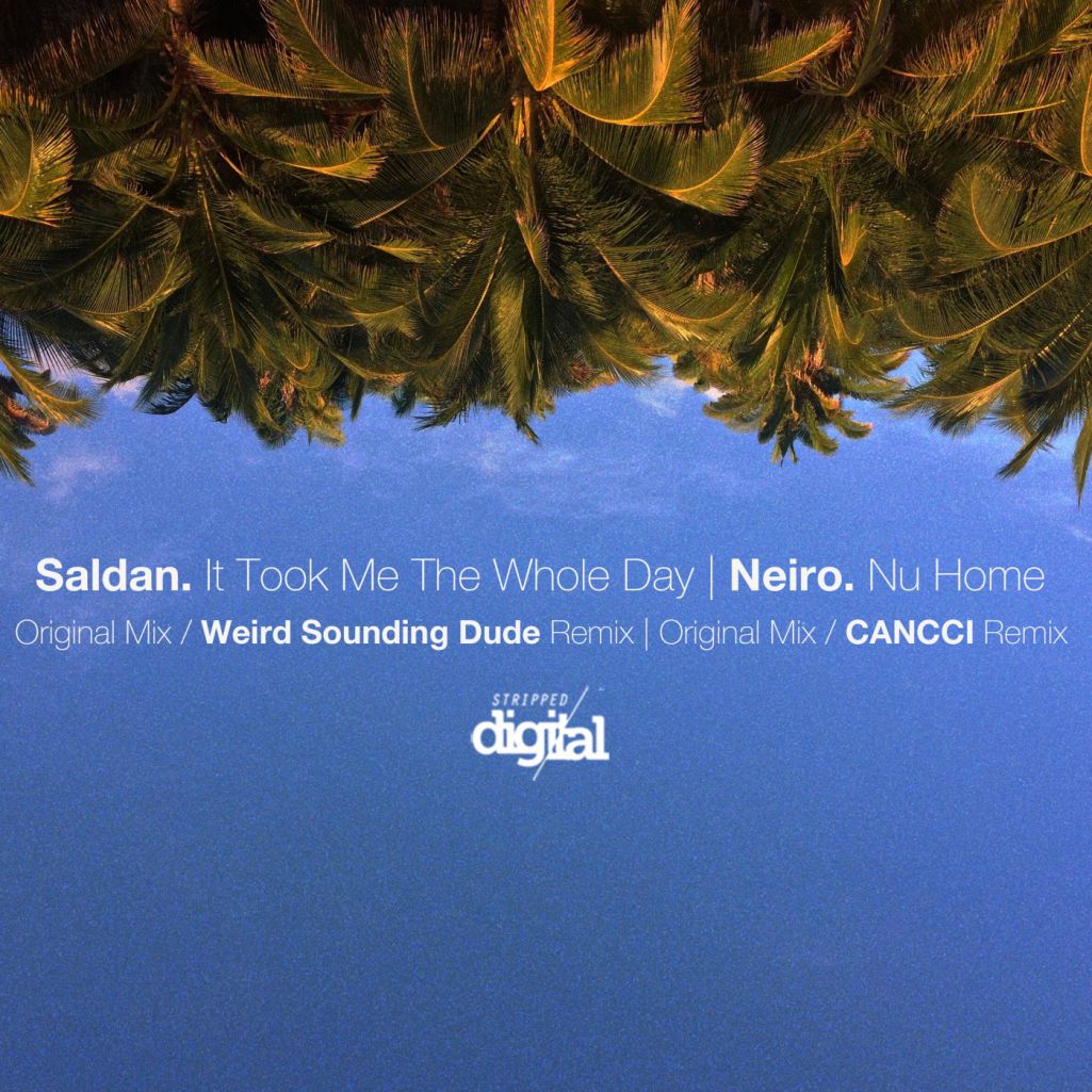 Saldan & Neiro - It Took Me The Whole Day - Nu Home [311SD]